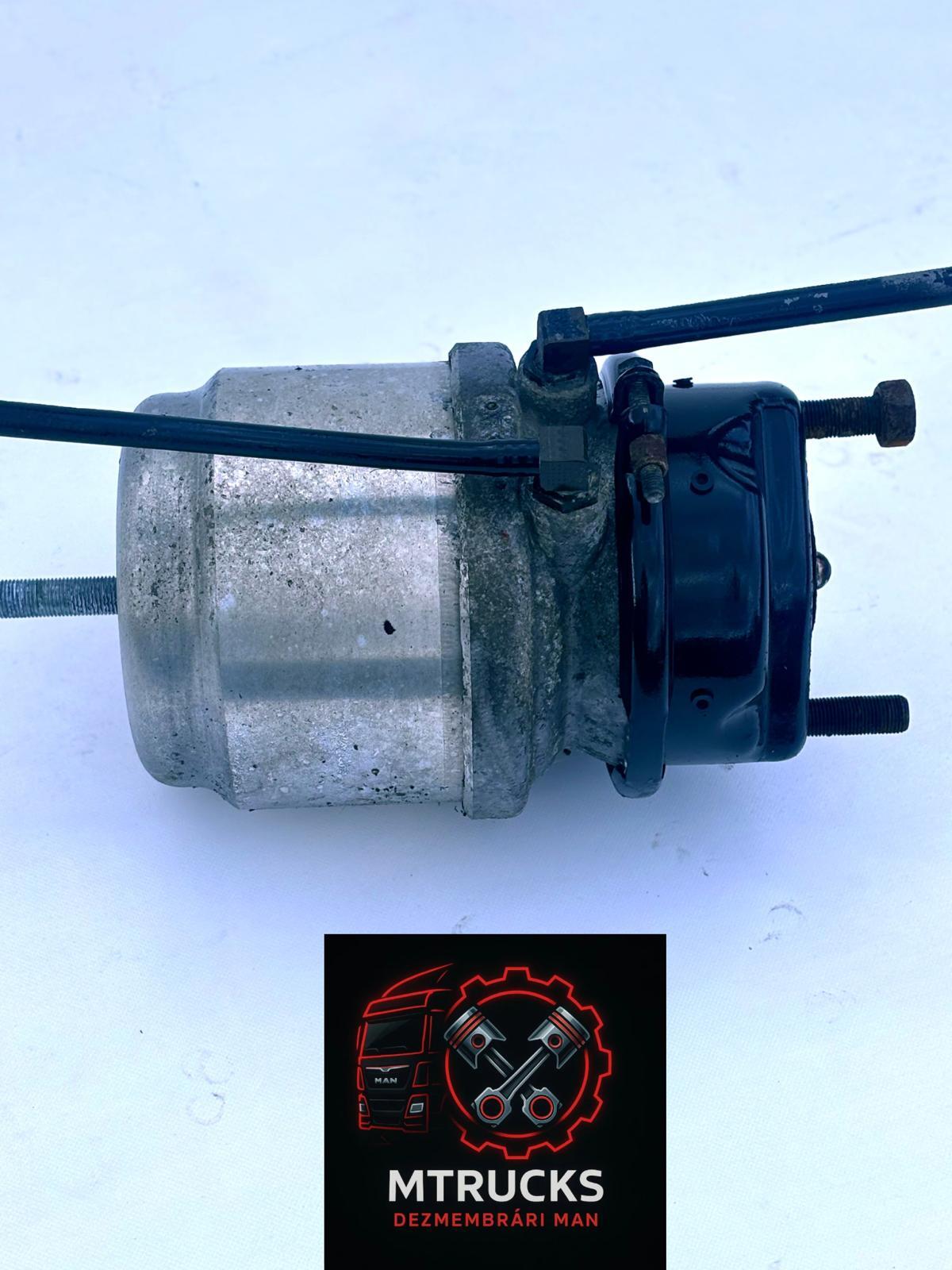 Camera franare dublă axă spate MAN/DAF tip 30/30 arc frână de staționare
