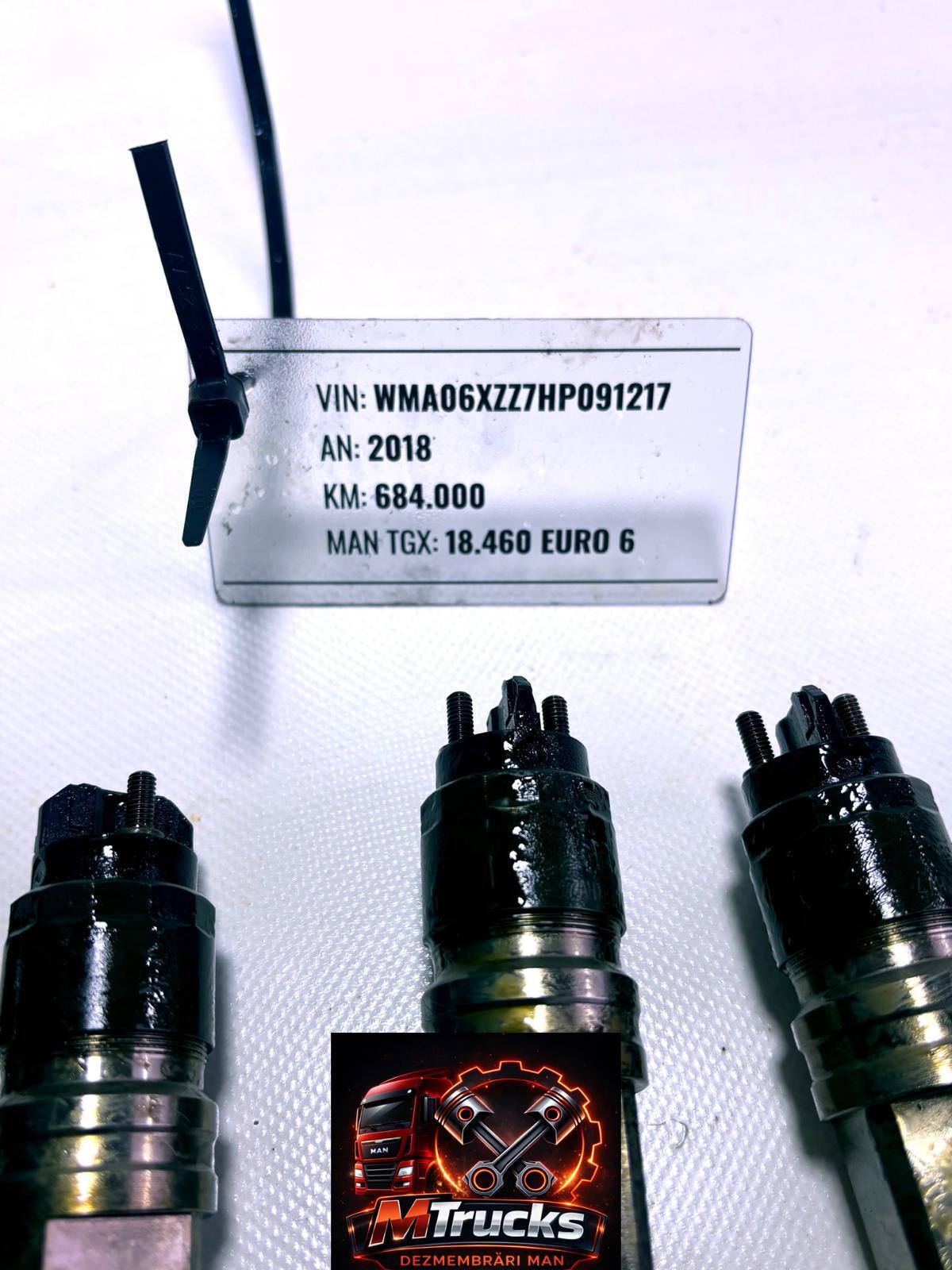 Injectoare motor MAN TGX /TGS Euro 6; 460 CP; D2676; 600.000km, 51.10100-6191 - imagine 4